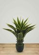Le Present Agave Green And Yellow Faux Botanical-2