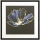 YHD Midnight Bloom I Framed Print-0