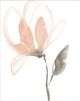 Classy Living Petal Veil Wall Art-1