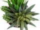 Monarch Specialties Inc. Assorted White 7" Tall Artificial Potted Succulent-3