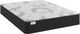Sherwood® Bedding XXV Manhattan Nyx 10" Wrapped Coil Ultra Firm Tight Top Queen Mattress in a Box-0