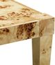 TOV Furniture Brandyss Natural Burl End Table-3