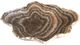 A & B Home Macias Brown Hand-Carved Zebra Onyx Bowl-0
