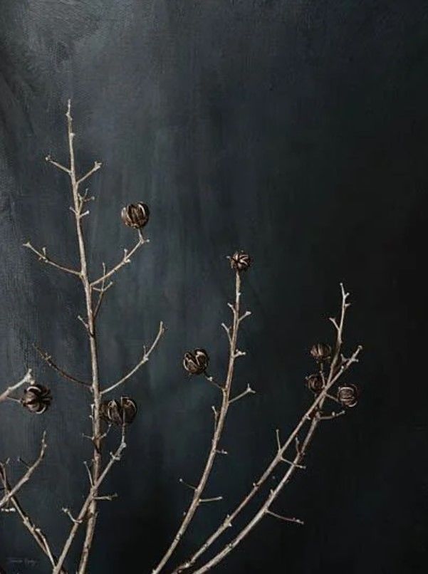 Classy Art Branches in Noir I by Jennifer Rigsby Wall Art-0