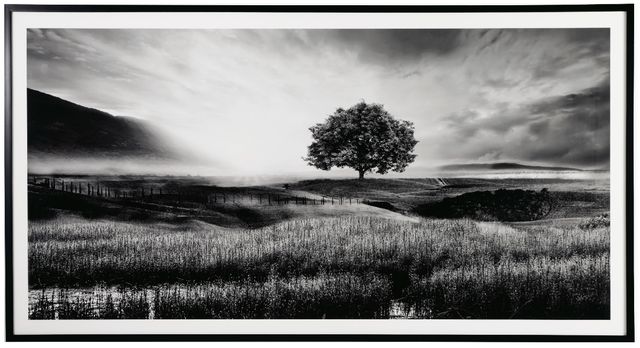 Signature Design by Ashley® Deborland Black/White Wall Art-0