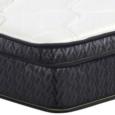Coaster® Evie 9.25" Hybrid Euro Top Queen Mattress-1