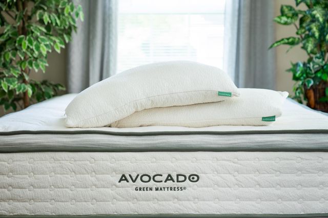 Avocado Green Latex Adjustable Standard Pillow-3