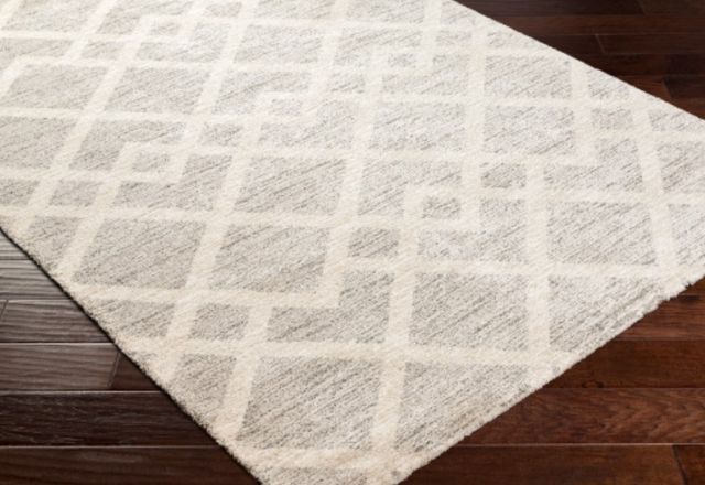 Surya Gavic Light Beige/Medium Gray 4'x6' Area Rug-2