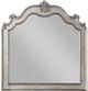 ACME Furniture Esteban Antique Champagne Mirror-0