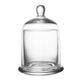 A & B Home Clear 4" Lidded Cake Plate-0