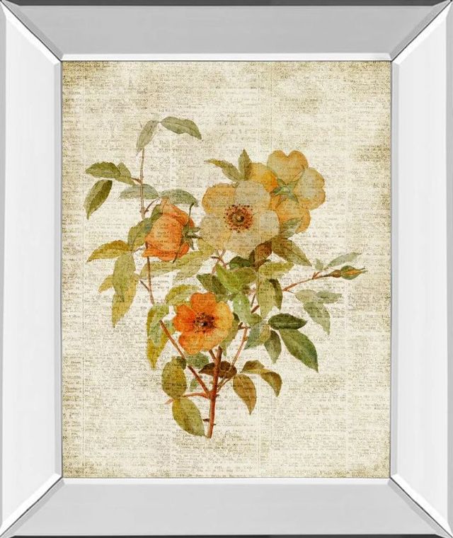 Classy Art Roses on Newsprint I by Lanie Loreth Mirror Mirror Framed Wall Art-0