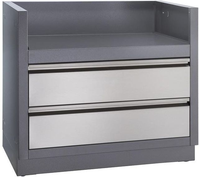 Napoleon Oasis™ Stainless Steel Under Grill Cabinet-0