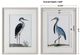 Uttermost® 2-Piece Shore Birds Framed Prints Set-2