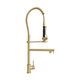 ZLINE Van Gogh Champagne Bronze Kitchen Faucet-2