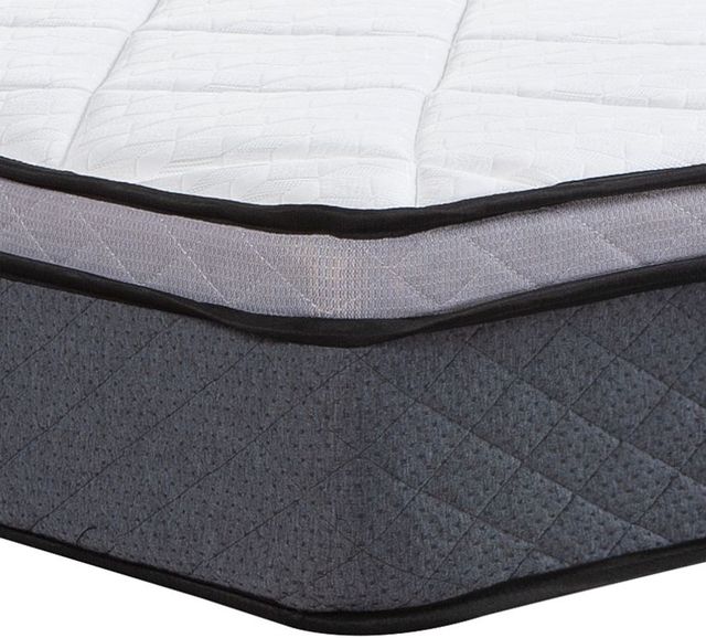 Springwall® Comfort Pockets® Bonavista 9" Wrapped Coil Medium Firm Euro Top Queen Mattress-1
