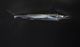 StyleCraft Sailfish Style 1 Wall Art-1