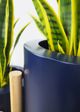 Le Present Sanseveria Green And Yellow Faux Botanical-3