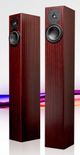 Totem Acoustics High-Fidelity Floor Standing Speaker-1