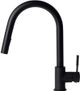 ZLINE Autograph Edition Matte Black Gemini Pull Down Single Handle Kitchen Faucet-2