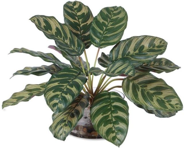 Uttermost® Peacock Green Plant Accent-0