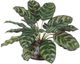 Uttermost® Peacock Green Plant Accent-0