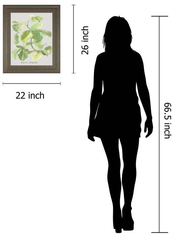 Classy Art Ficus Carica by Katrien Soeffers Wall Art-2