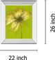 Classy Living Emma Forrester Floral Burst Vl 22" Wall Art-2