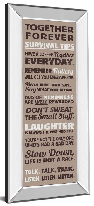 Classy Art Survival Tips I by the Vintage Mirror Framed Wall Art-1