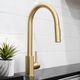 ZLINE Autograph Edition Champagne Bronze Incline Pull Down Single Handle Kitchen Faucet-3