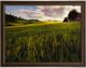 Stylecraft Fields of Gold Blue/Brown/Gray/Green/White/Yellow Wall Art-0