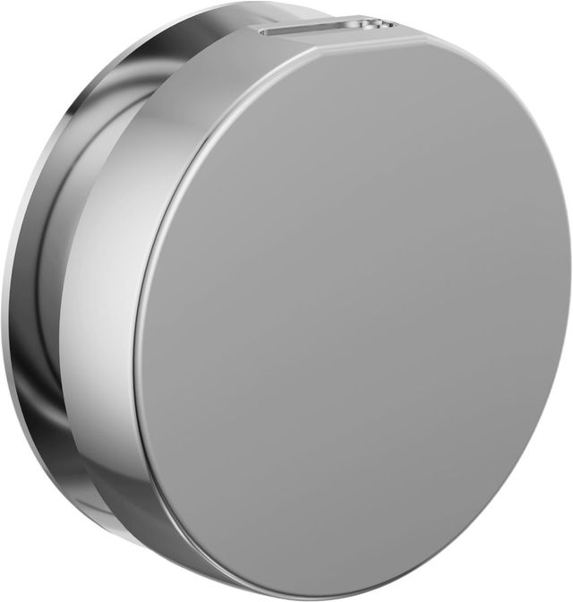 Brizo Other Polished Chrome Mystix™ Round Steam Head-0