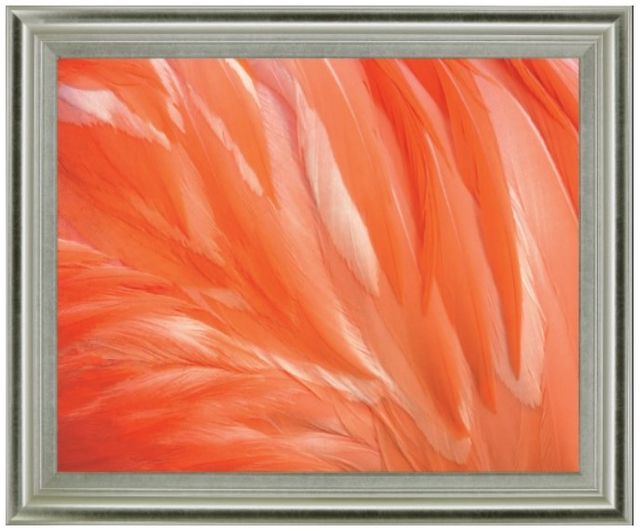 Classy Living Citrus Plumage Wall Art-0
