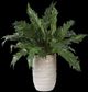 Uttermost® Verdure Fern Green Centerpiece in Glazed Pot-3