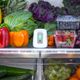 GreenTech™ pureAir Fridge Refrigerator Purification-4