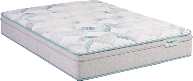 Beautysleep® Dream Weaver™ 12.25" Pocketed Coil Medium Euro Top Queen Mattress-0
