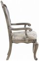 ACME Furniture Ariadne 2-Piece Antique Platinum/Beige Arm Chair Set-4