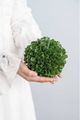 A & B Home Green 5" Artificial Boxwood Topiary Ball-5