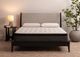iAmerica Chesapeake 2.0 Wrapped Coil 12" Plush Euro Top Full Mattress-3