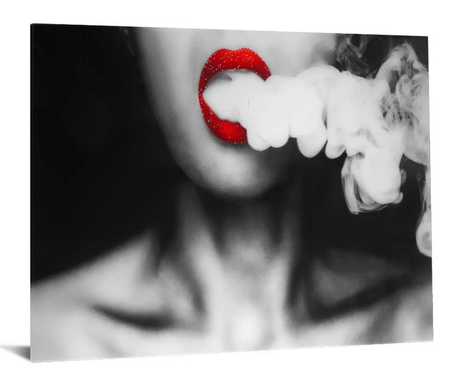 Classy Art Lady Zebra Wall Art-1