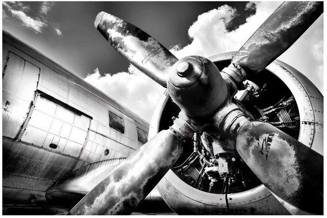Moe's Home Collection Limitless Greyscale Flight Wall Decor-0