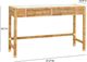 TOV Furniture Amara Natural Woven Rattan Desk-2