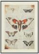 Signature Design by Ashley® Jossletts 3-Piece Black/Ivory/Orange Wall Art Set-2