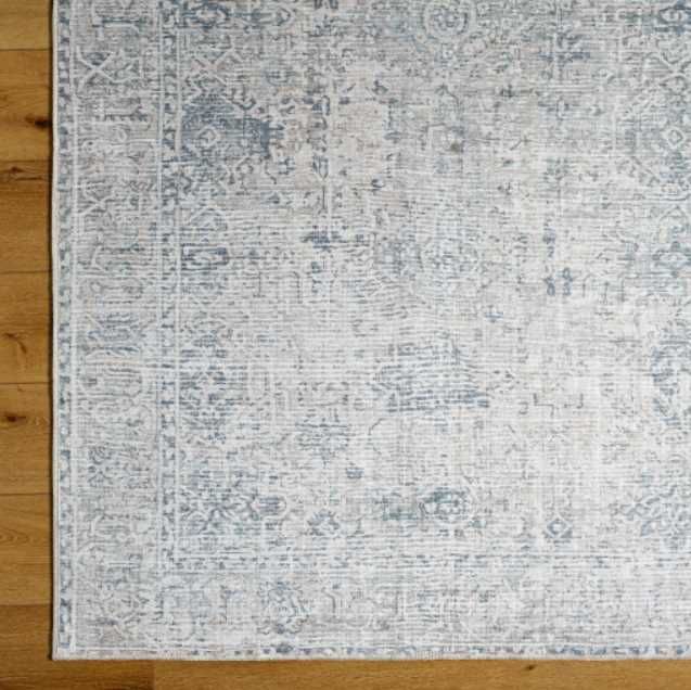 Surya Embrace Beige/Blue 4'x6' Area Rug-4