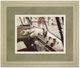 Classy Living Gail Peck Cool Cats Wall Art-0