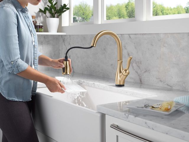 Delta Leland® Champagne Bronze Touch2O® Kitchen Faucet-2