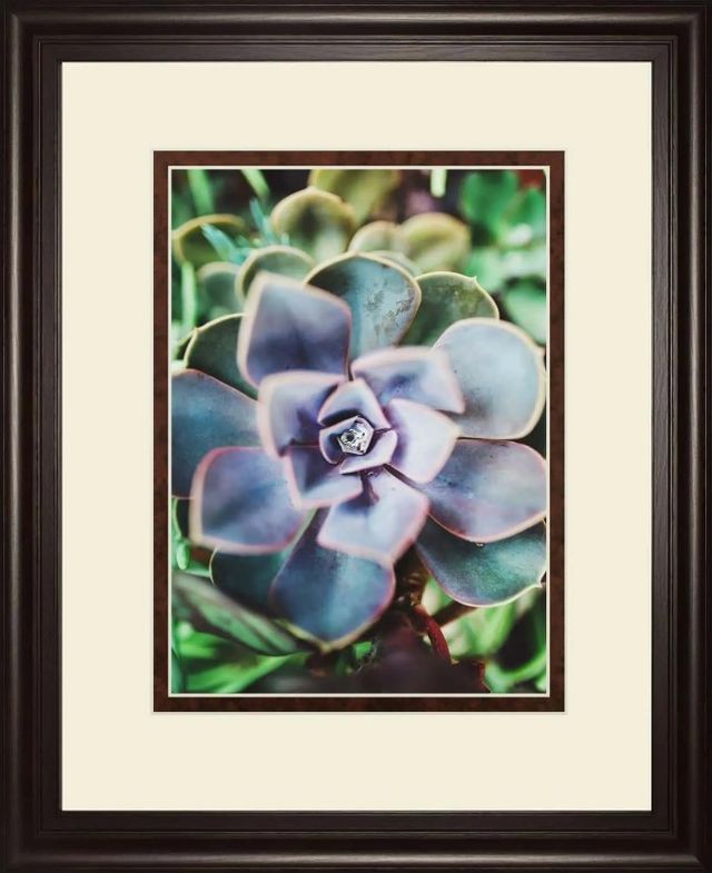 Classy Art Succulence Beauty by Chelsea Kedron Wall Art-0
