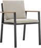 Armen Living Nofi 2-Piece Charcoal/Taupe Aluminum/Fabric Outdoor Dining Arm Chair Set-2