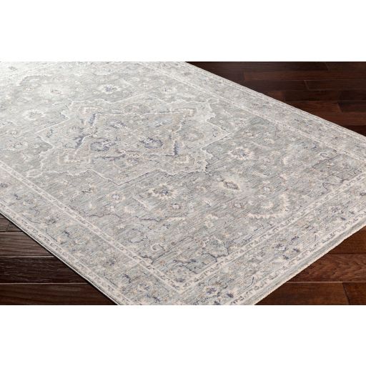 Surya Palazzo Light Blue/Light Gray 9'x13' Area Rug-1