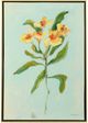 Stylecraft Lily Study I Wall Art-0