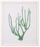 Bassett Mirror Souvenirs Coral ll Framed Print-0